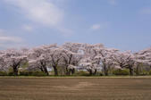 tkf005_302074