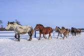 tkf005_302414