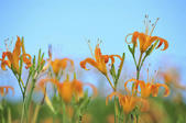 tkf005_302760