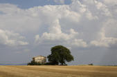 tkm005_105572